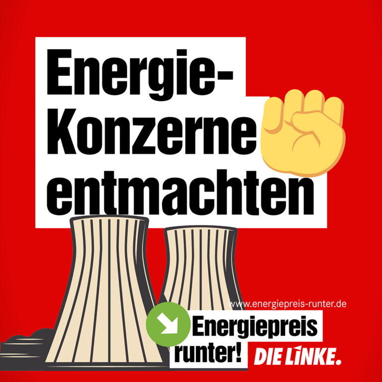 Energiekonzerne entmachten. Logo DIE LINKE